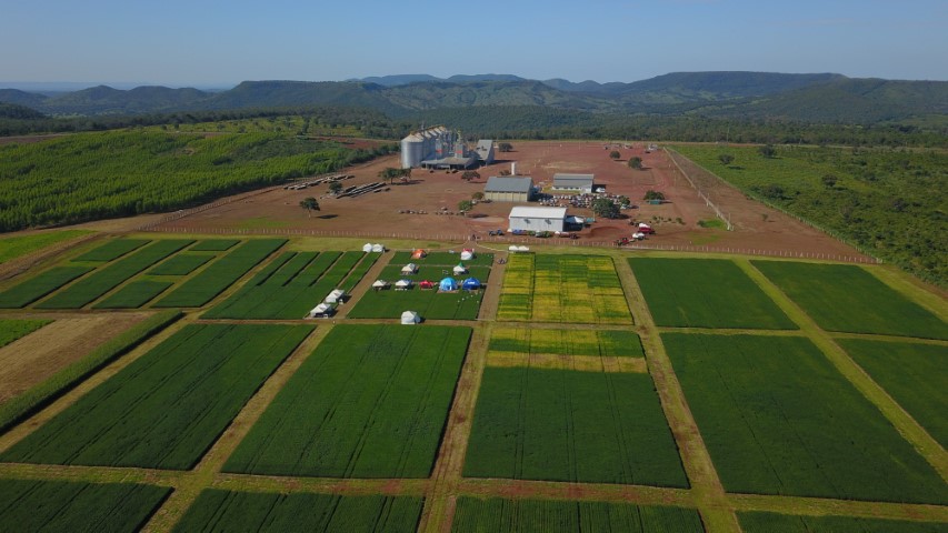FRÍSIA: Nova campanha é lançada no Tocantins