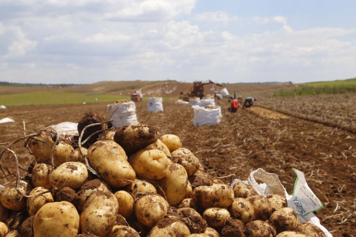 SEAB: Secretaria da Agricultura lança Diagnóstico Agropecuário do Paraná