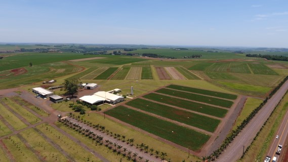 COPACOL: Dia de Campo 2022 será realizado em janeiro