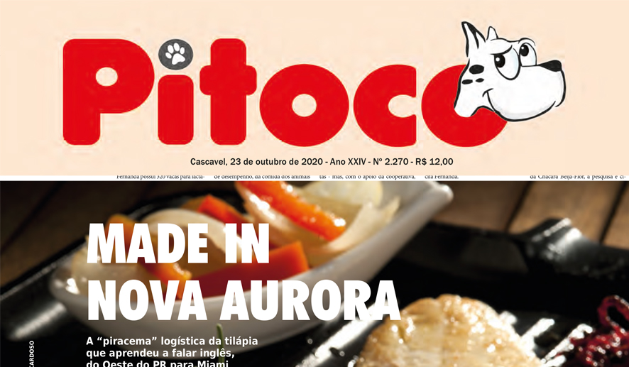 categoria jornalismo impresso 3 lugar
