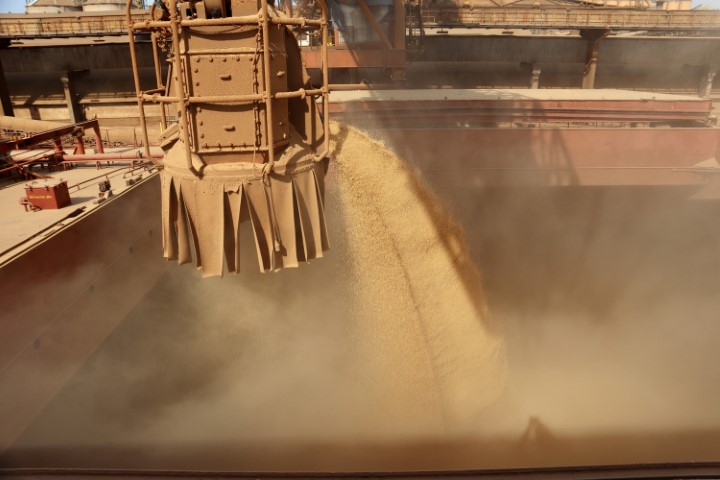 CONAB: Soja é destaque com tendência de alta, mas possível redução de prêmios de portos