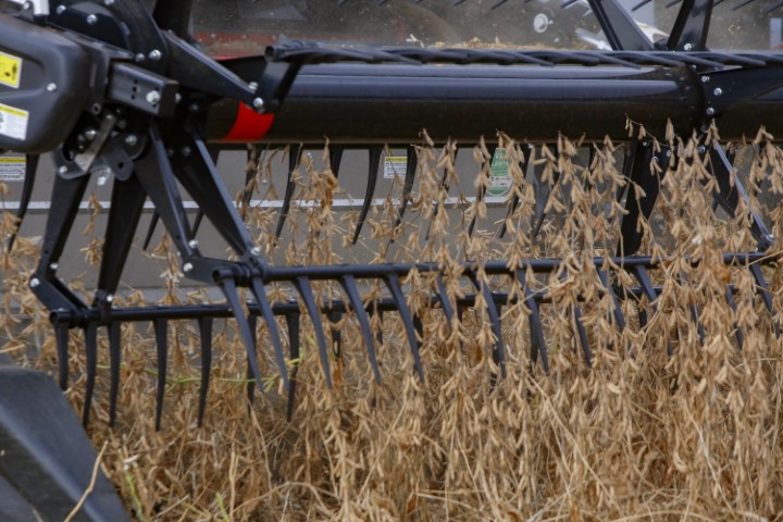 LEVANTAMENTO: Quatro municípios paranaenses estão entre os mais ricos do agronegócio brasileiro