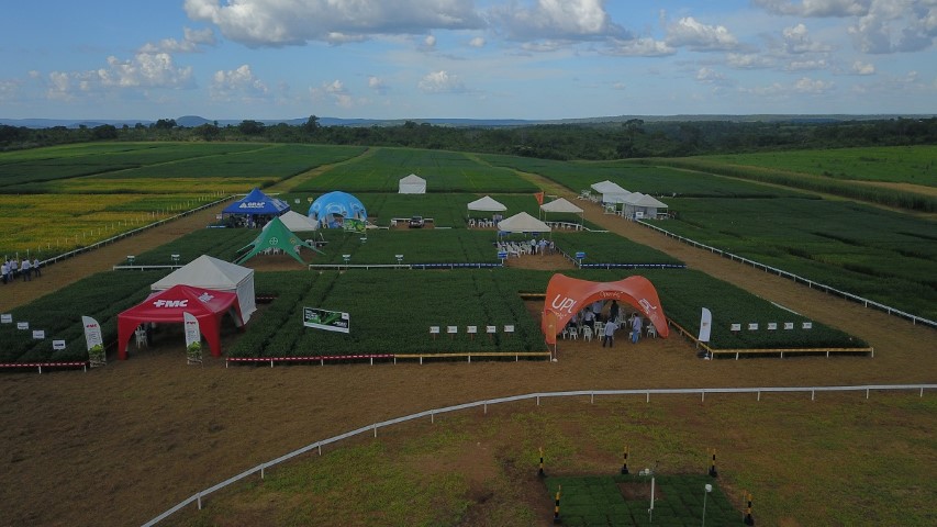 FRÍSIA: Resultados de pesquisas agrícolas no Tocantins serão apresentados no 2º Show Tecnológico Cerrado