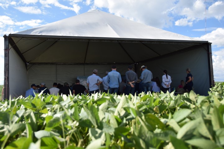 TECNOLOGIA: Agrária e FAPA preparam Dia de Campo de Verão 2022
