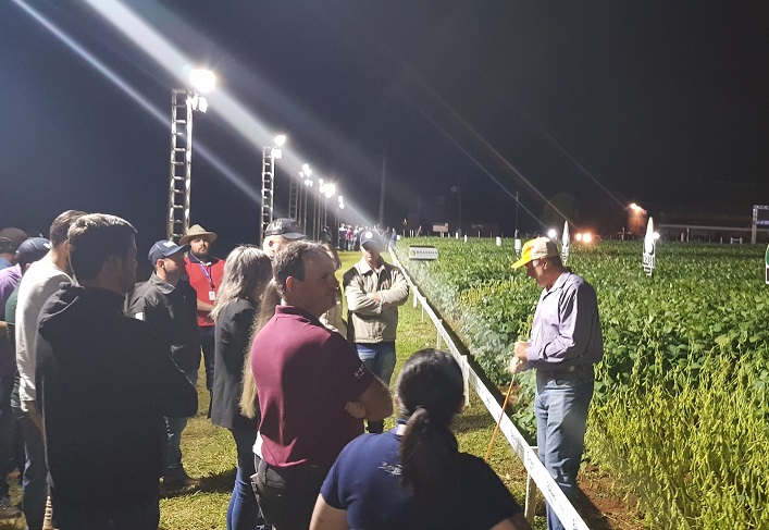 FRÍSIA: Cooperativa prepara Noite de Campo para demonstrar genéticas de soja