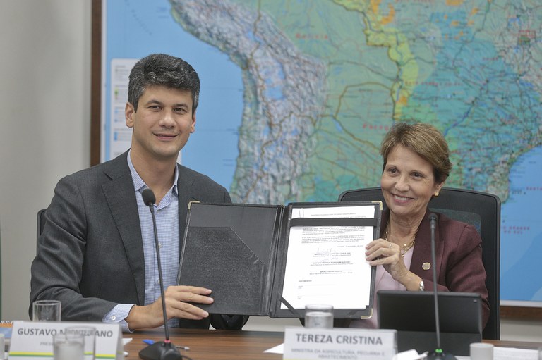 SUSTENTABILIDADE: Ministério da Agricultura e BNDES firmam acordo para incentivar redução de emissões na pecuária bovina