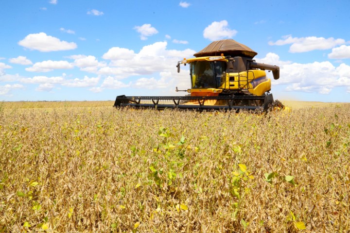 SAFRA DE VERÃO: Paraná deve produzir 14,74 milhões de toneladas de grãos 