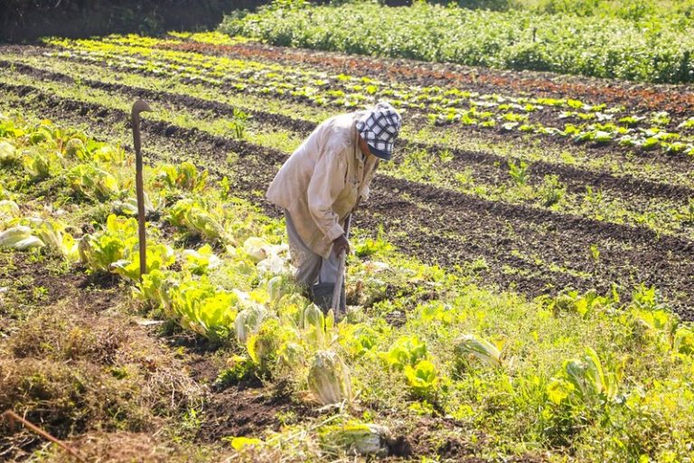 LEGISLATIVO: Projeto assegura recursos para assistência técnica e extensão rural