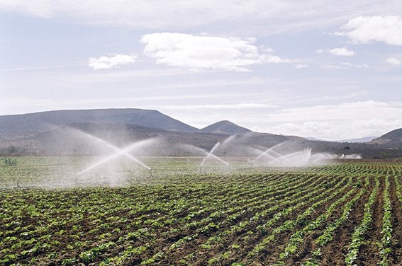 LEGISLATIVO: CRA discute Plano Nacional de Fertilizantes na quinta-feira