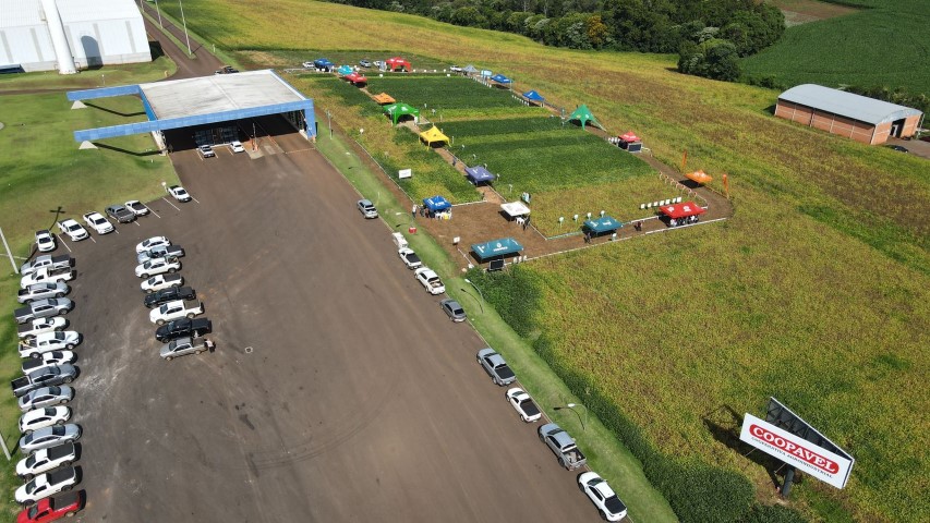 COOPAVEL: Dia de campo para cultivares de soja é realizado no Sudoeste