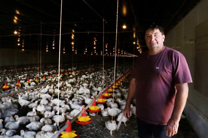 BANCO DO AGRICULTOR: Com juros subsidiados pelo Estado, programa já muda a realidade dos paranaenses