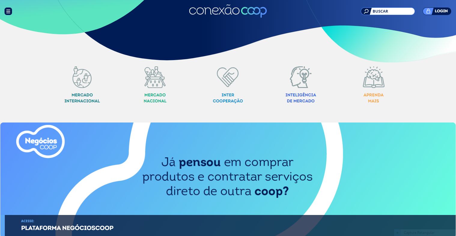 CONEXÃO COOP: Sistema OCB apresenta atualização das ações de mercado para Unidades Estaduais