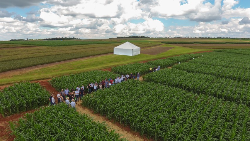 COPACOL: Fertilidade ganha destaque em Dia de Campo 