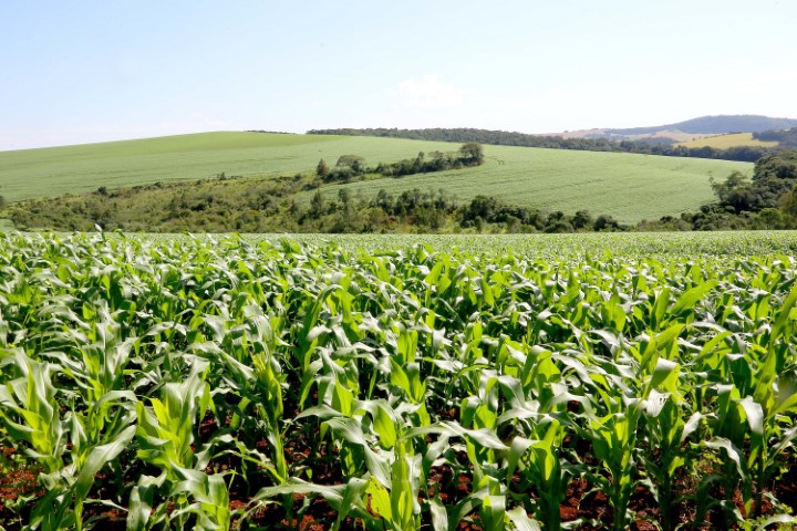 SEAB/IDR-PR: Sistema de Agricultura do Estado orienta produtores sobre uso de fertilizantes no solo