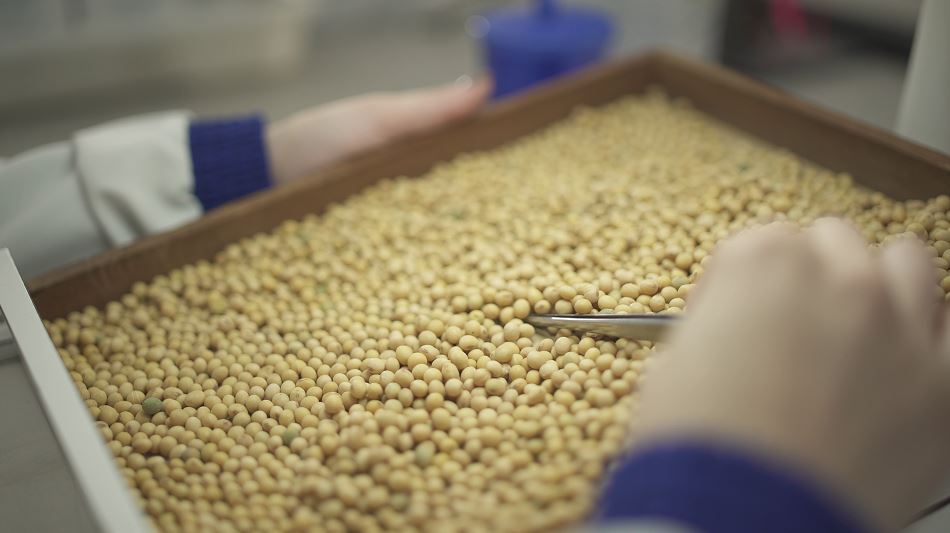 FRÍSIA: Maior laboratório de sementes do Paraná completa 43 anos e projeta dobrar número de análises até 2025