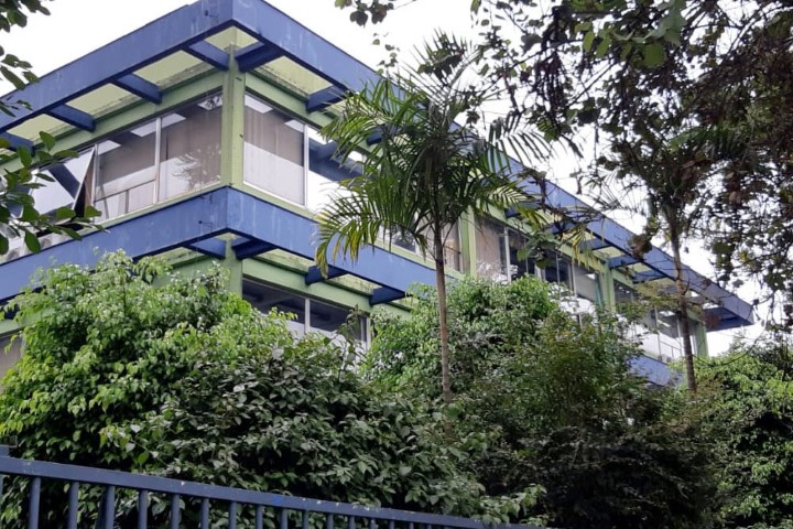 SERFLOR: IAT orienta produtores florestais sobre regularização junto ao sistema de registro