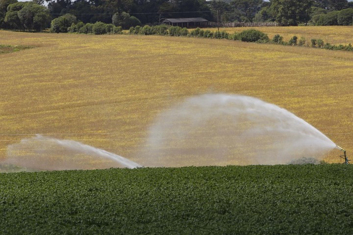 ENERGIA I: Usuários de irrigação e aquicultura devem atualizar cadastro para manter desconto na conta de luz