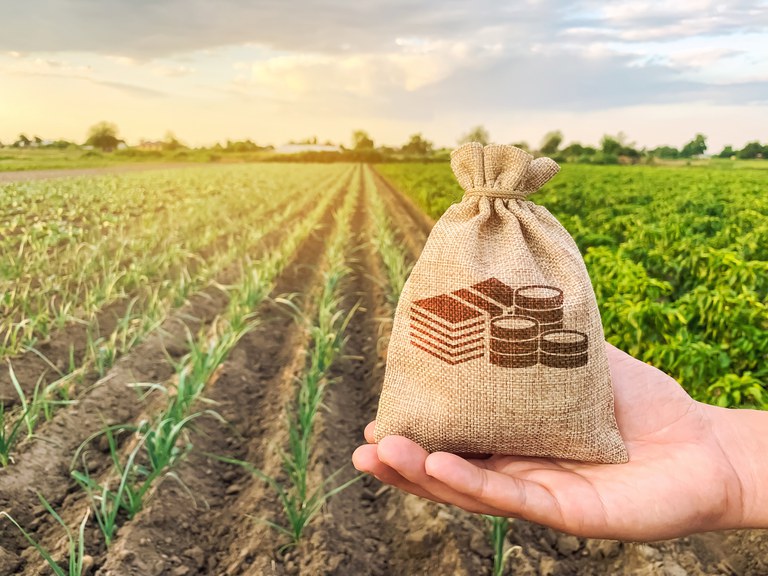 CRÉDITO RURAL:  Contratações somam R$ 209 bilhões em nove meses 