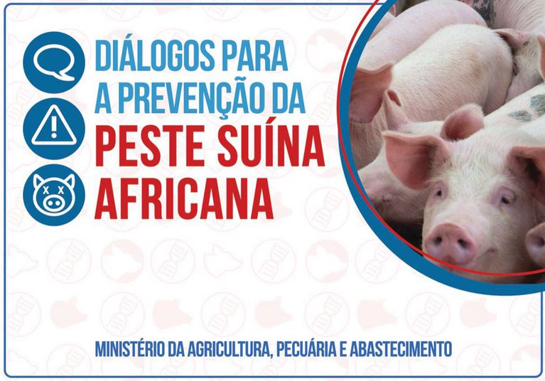 DEFESA AGROPECUÁRIA: Mapa lança material didático para reforçar ação contra a peste suína africana