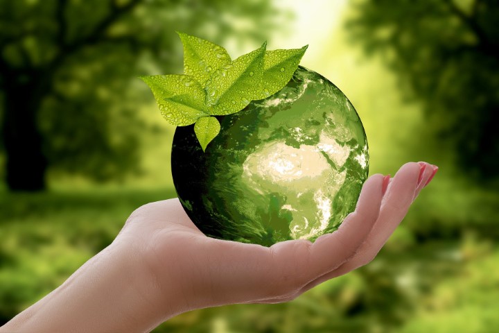 PARTICIPAÇÃO SOCIAL: Mapa prorroga prazo de consulta pública sobre carbono verde
