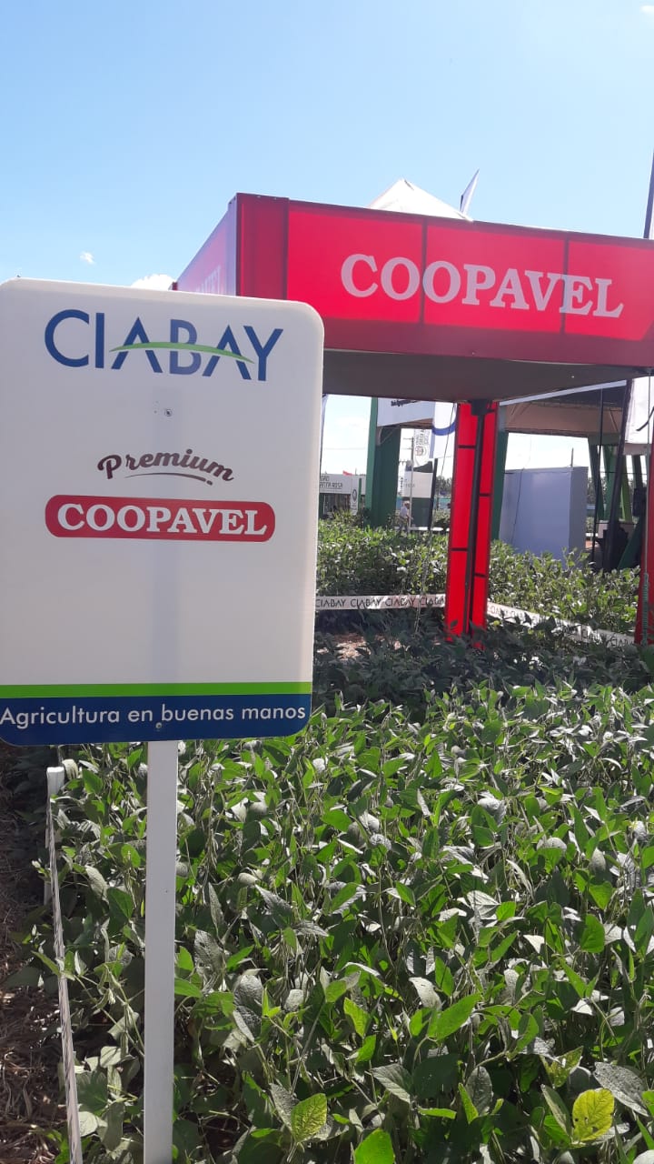 COOPAVEL: Com fertilizante premium, cooperativa amplia presença no agro do Paraguai