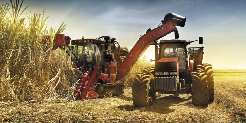 CONAB: Cana-de-açúcar deve ter aumento de produção na safra 2022/2023