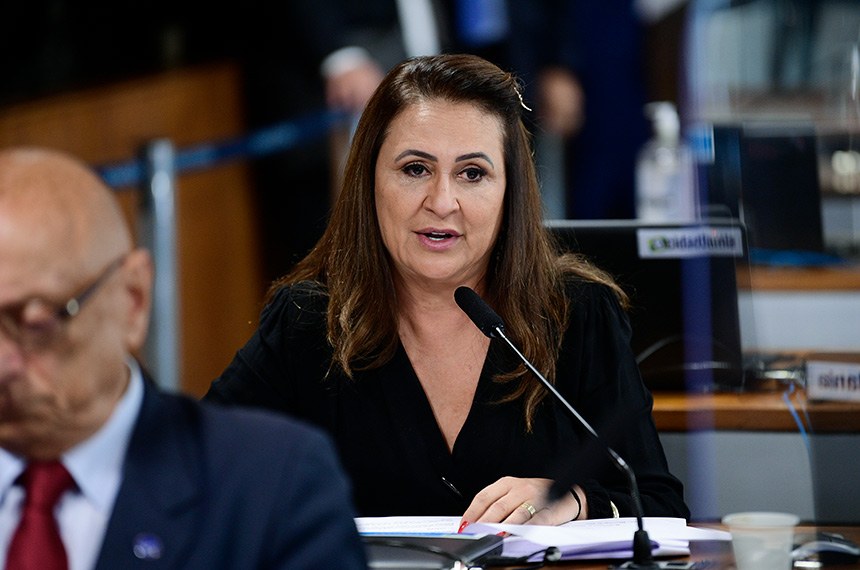 LEGISLATIVO: Aprovado benefício fiscal a farelo e óleo de milho
