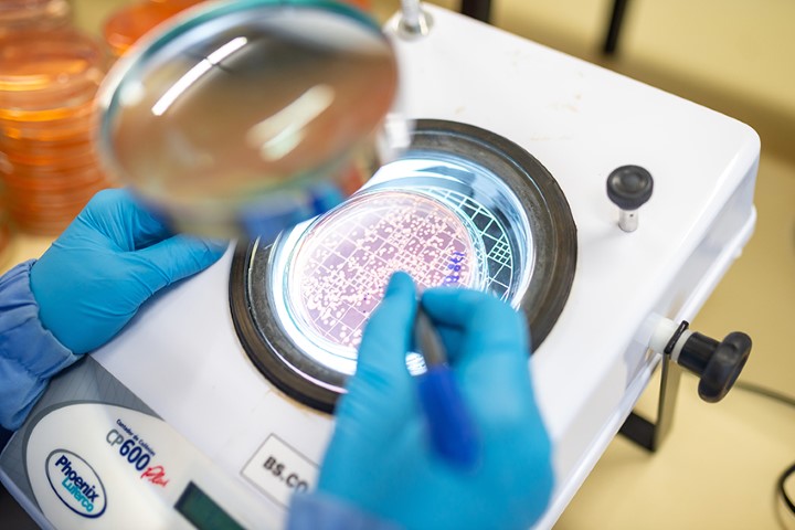 PESQUISA: Reunião debate desafios e oportunidades para inoculantes microbianos no Brasil
