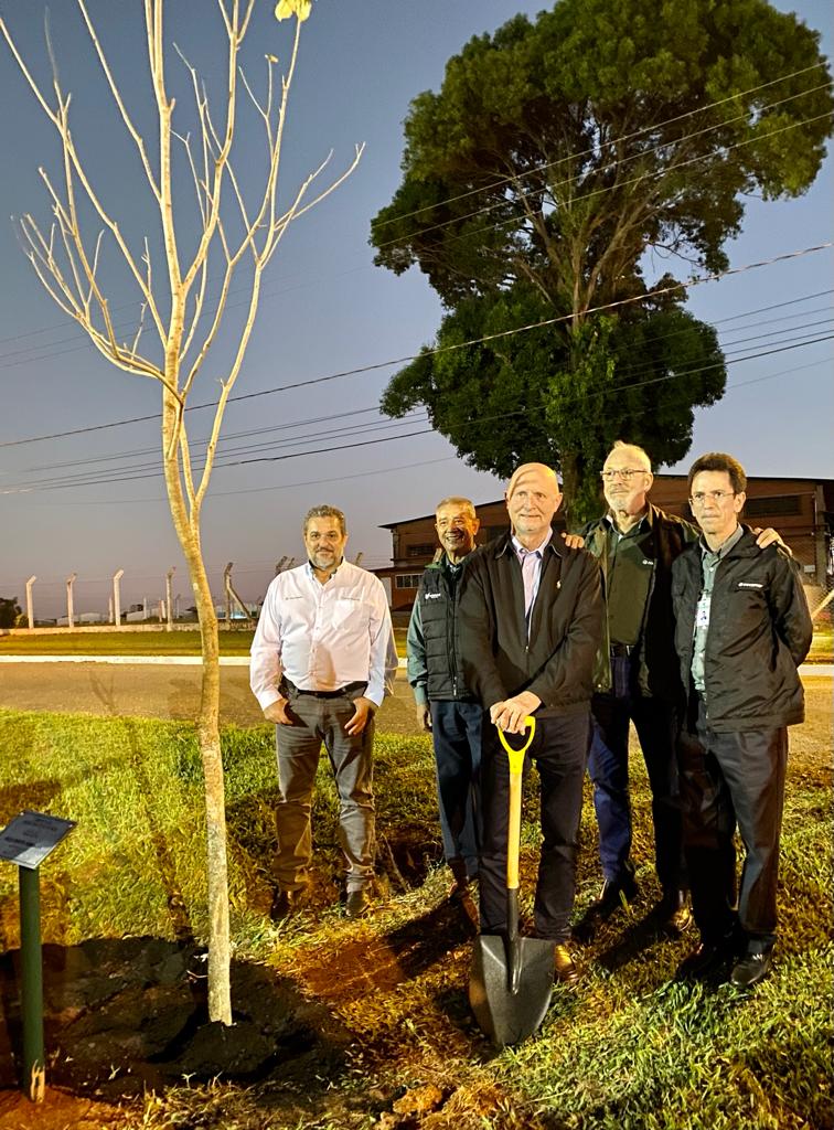 COCAMAR: Paulo Herrmann planta árvore em avenida na cooperativa