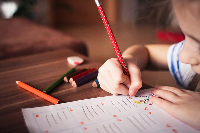 EDUCAÇÃO: Câmara temática do setor educacional discute plano de trabalho