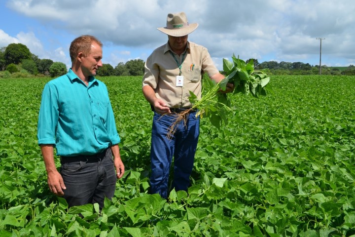 IDR-PARANÁ: Extensão rural comemora 66 anos ajudando a transformar a agropecuária no Paraná 