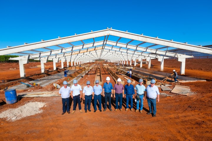 C.VALE: Cooperativa investe para ampliar produção de leitões