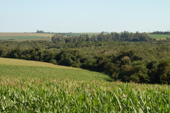 LEGISLAÇÃO AMBIENTAL: Código Florestal completa dez anos