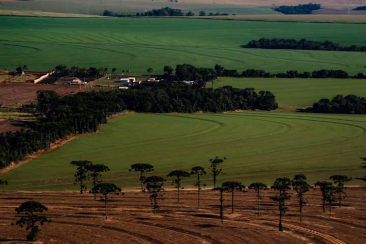 AGRO: Estado e Faep divulgam cartilha para ajudar produtores rurais com questões ambientais