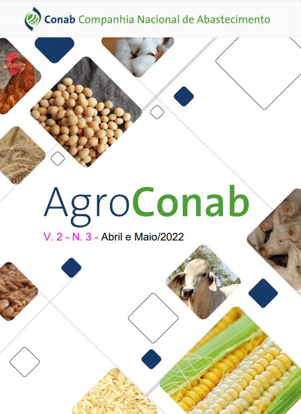 AGROCONAB: Produção de feijão-preto supera consumo em cerca de 100 mil toneladas