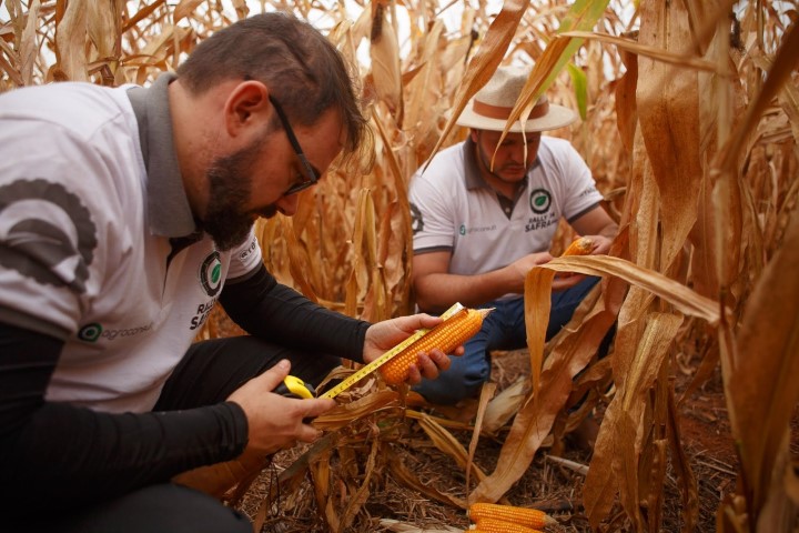 COOPAVEL: Cascavel recebe nesta quinta-feira o Rally da Safra