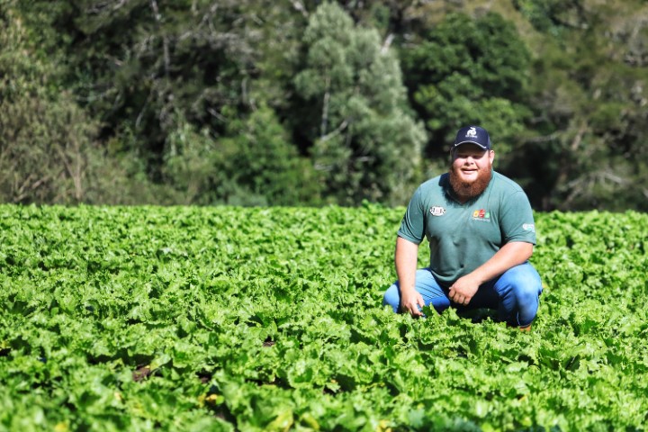 AGRICULTURA FAMILIAR: Projetos de transferência de renda serão ampliados no Paraná