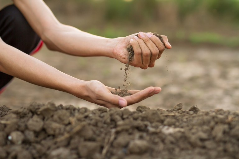 ZARC: Instrução Normativa define novo método de classificação do solo no Zoneamento Agrícola