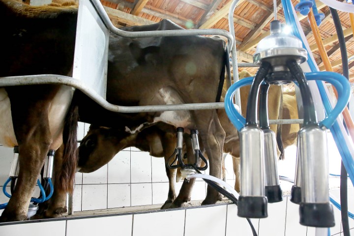 CONJUNTURA AGROPECUÁRIA: Boletim do Deral analisa reflexos dos custos de produção e do clima no preço do leite