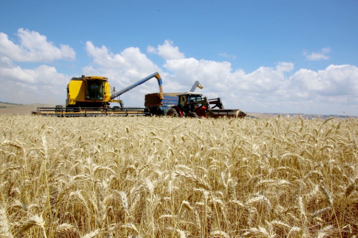 SEAB/DERAL: VBP Agropecuário do Paraná cresce 41% e alcança R$ 180,4 bilhões, maior valor da série histórica