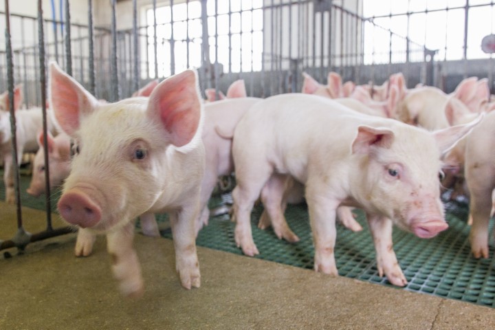 FUNREP: Secretaria da Fazenda prorroga para 1º de janeiro de 2023 a cobrança de contrapartida
