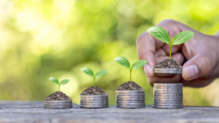 CRÉDITO RURAL: Desempenho alcança R$ 293,4 bi no fechamento da safra 2021/22
