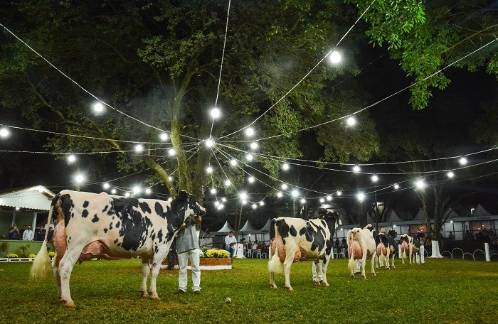 CAPAL: 48ª Expoleite Arapoti será realizada nesta semana