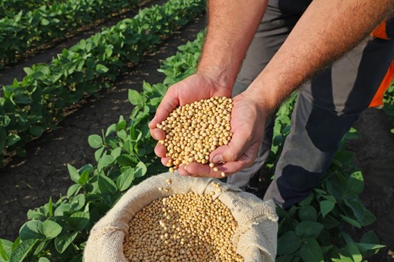 AGRICULTURA FAMILIAR: Selo Biocombustível Social promove a inclusão e capacitação técnica de agricultores familiares