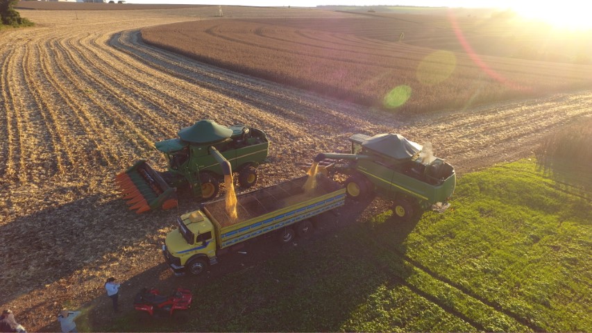 28 DE JULHO II: Dia do Agricultor; dedicação ao campo gera alimentos e transformação