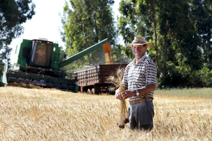28 DE JULHO I: Sistema Ocepar presta homenagem ao Dia do Agricultor