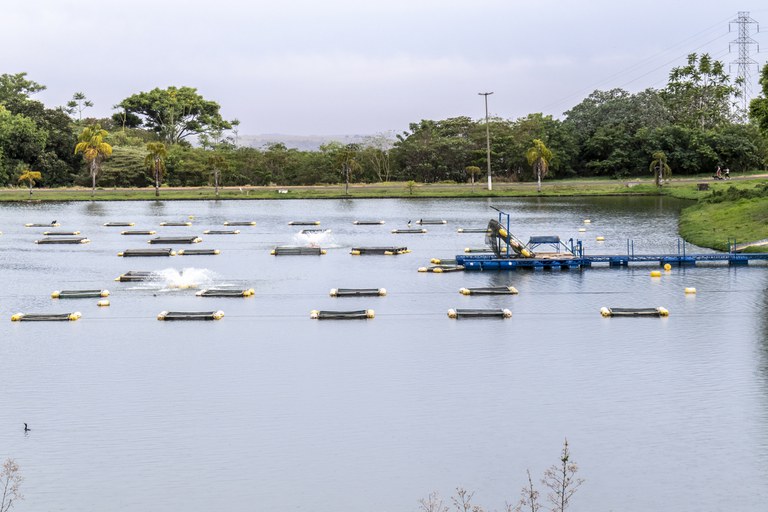 COMÉRCIO EXTERIOR: Exportação de pescados dobra no primeiro semestre de 2022