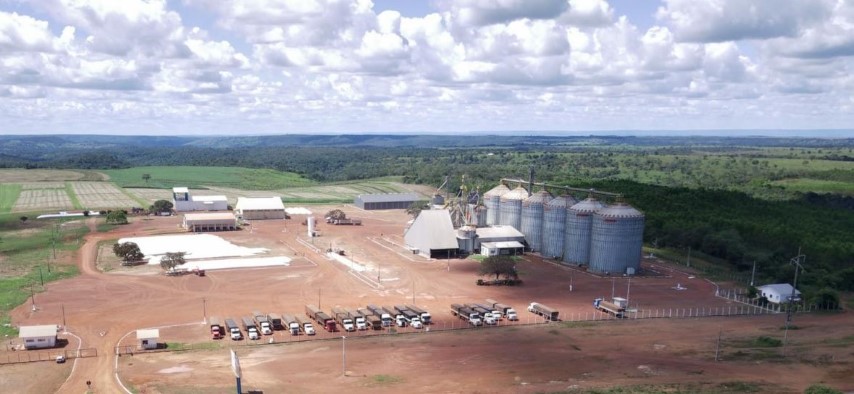 FRÍSIA: Cooperativa prevê aumento da área agrícola e do número de cooperados no Tocantins 
