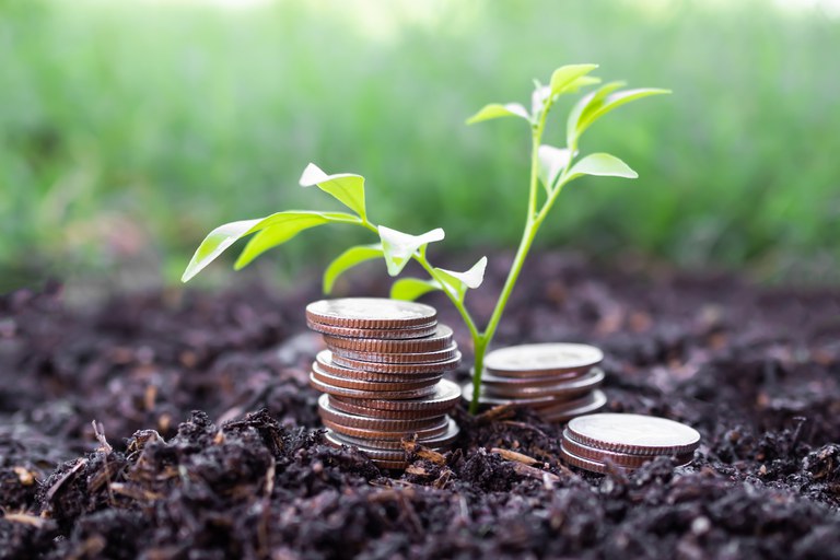 CRÉDITO RURAL: Desembolso do atual Plano Safra somou R$ 25,8 bilhões em julho