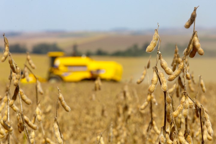 AGRO II: Sistema OCB apoia pesquisa que traz o olhar do brasileiro sobre o setor